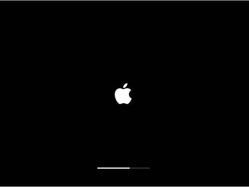 启动卡在白屏 / Apple 标志，进度条不动插图
